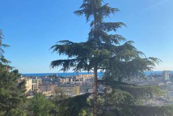 SAN FRUTTUOSO - via G. AMARENA - locazione 